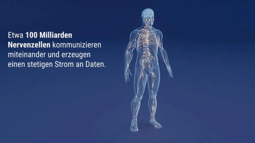 Keltican® forte Kapseln mit Uridinmonophosphat (UMP), Vitamin B12 und Folsäure zur Unterstützung der Nervenregeneration - Jetzt 10% mit dem Code dermapharm10 sparen*>Keltican forte Online