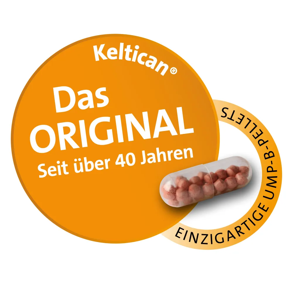 Keltican® forte Kapseln mit Uridinmonophosphat (UMP), Vitamin B12 und Folsäure zur Unterstützung der Nervenregeneration - Jetzt 10% mit dem Code dermapharm10 sparen*>Keltican forte Best