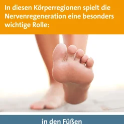Keltican® forte Kapseln mit Uridinmonophosphat (UMP), Vitamin B12 und Folsäure zur Unterstützung der Nervenregeneration - Jetzt 10% mit dem Code dermapharm10 sparen*><noscript><img width=