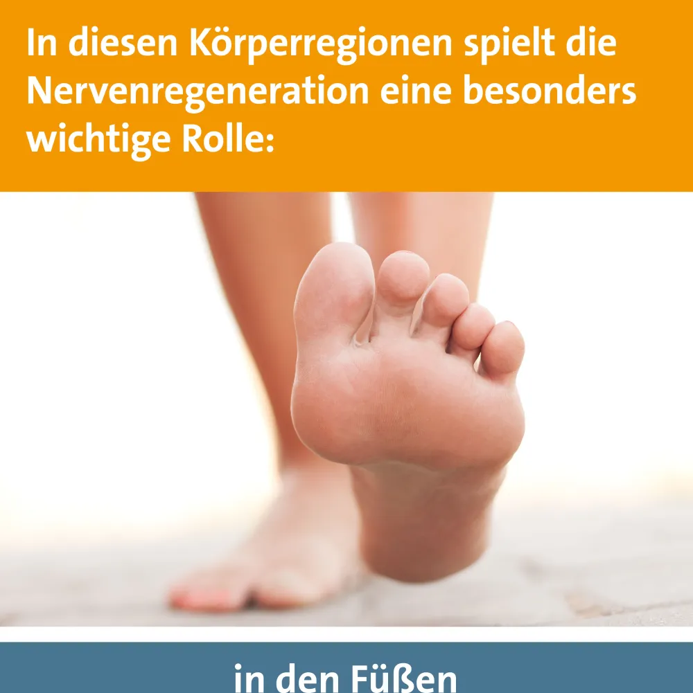 Keltican® forte Kapseln mit Uridinmonophosphat (UMP), Vitamin B12 und Folsäure zur Unterstützung der Nervenregeneration - Jetzt 10% mit dem Code dermapharm10 sparen*>Keltican forte Best