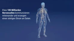 Keltican® forte Kapseln mit Uridinmonophosphat (UMP), Vitamin B12 und Folsäure zur Unterstützung der Nervenregeneration - Jetzt 10% mit dem Code dermapharm10 sparen*><noscript><img width=