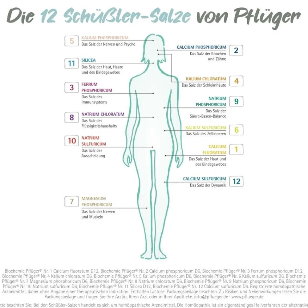 Kennenlern-Set / Haus- und Reiseapotheke Nr. 1 - 12| New