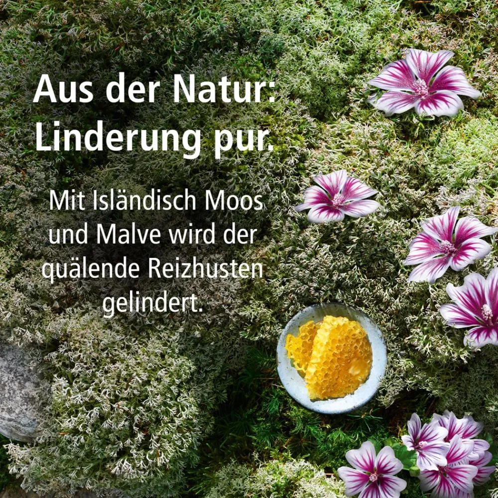 Bronchial-Husten-Sirup>Klosterfrau Outlet