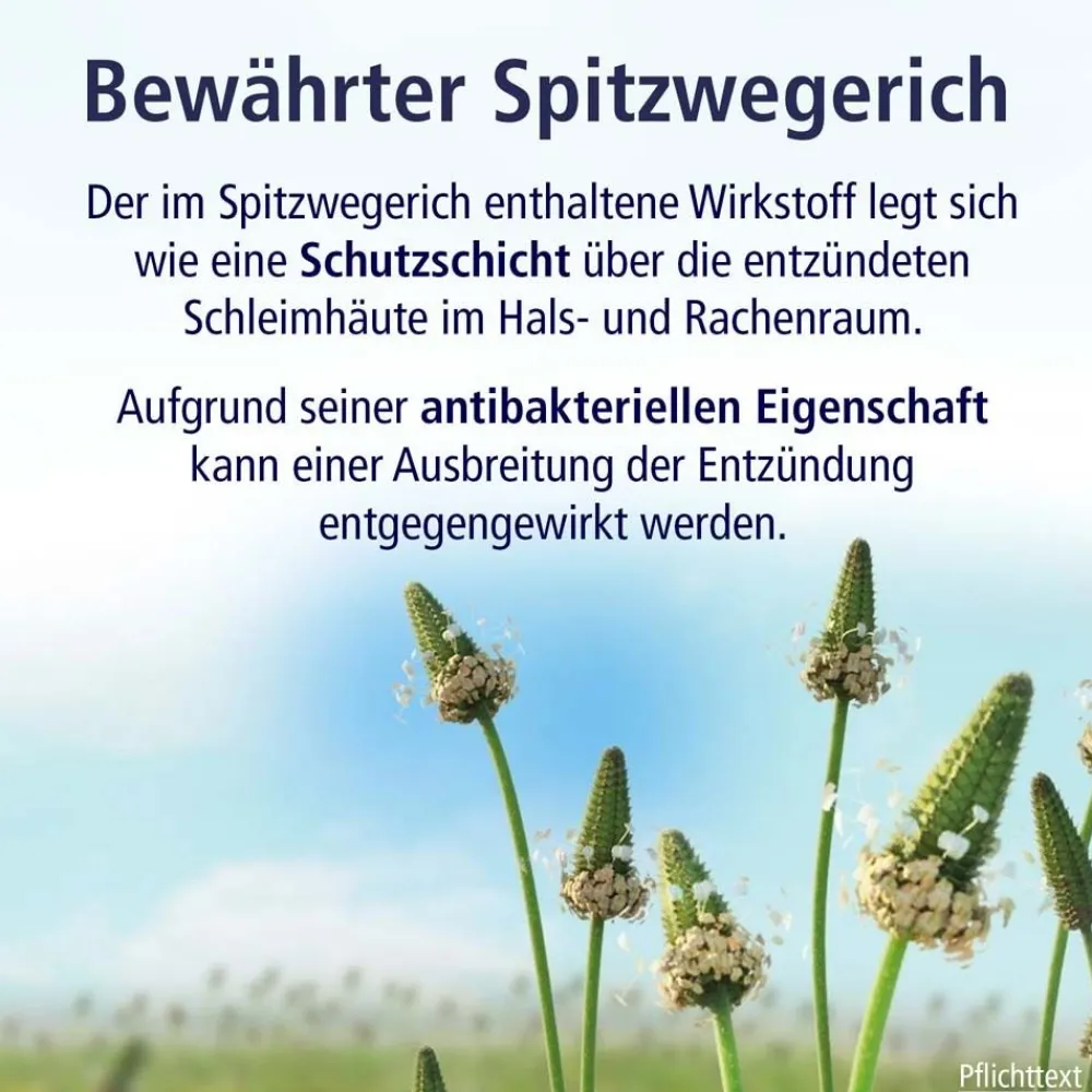 Hustensaft|Klosterfrau Clearance