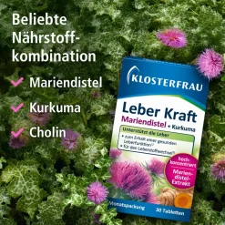 Leber Kraft><noscript><img width=