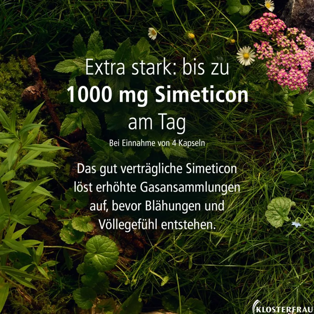 Magen-Darm Entspannung>Klosterfrau New