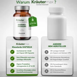 Kieselerde 336 mg Kapseln|Kräutermax Sale
