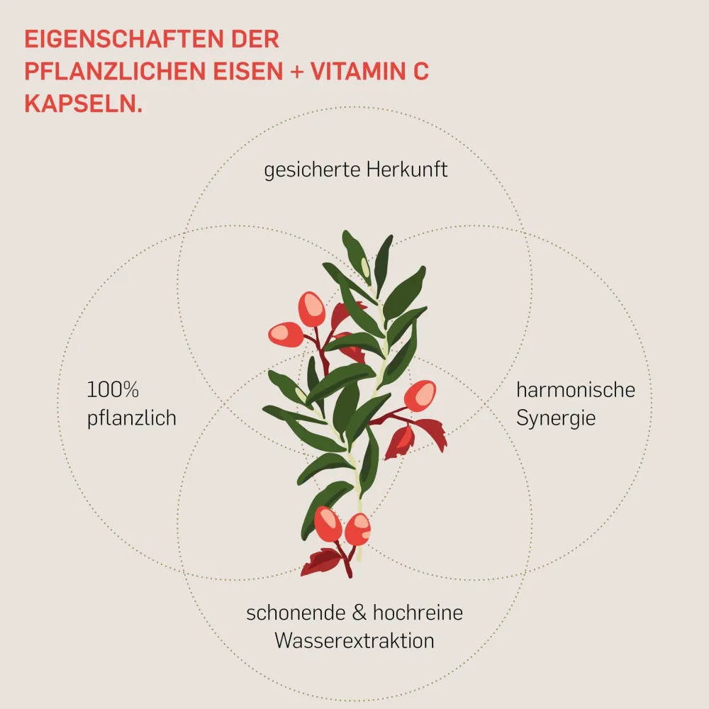 © Eisen + Vitamin C – Curryblatt & Hagebutte – 14 mg Eisen – 180 Kapseln – vegan>KURKRAFT Hot