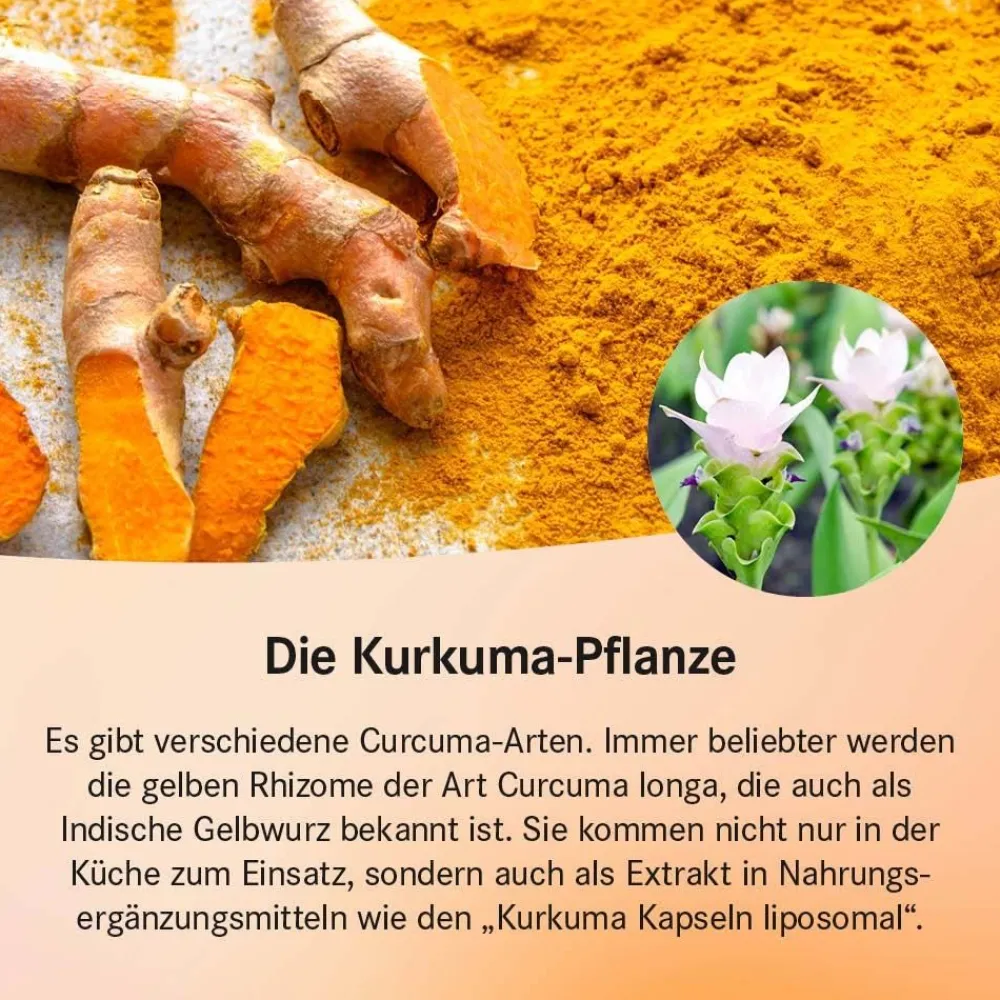 Kurkuma Kapseln liposomal| Outlet