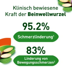 ® Schmerzsalbe|Kytta