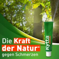 ® Schmerzsalbe|Kytta