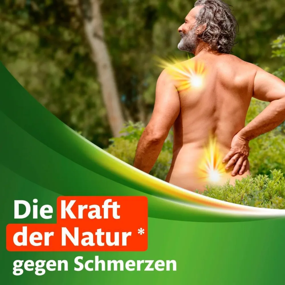 ® Schmerzsalbe gegen Muskel-, Kniegelenk- und Rückenschmerzen|Kytta Outlet