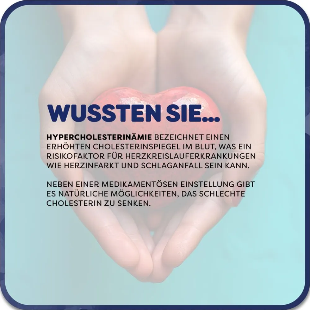 Lactobact LDL-CONTROL - Natürliche Hilfe bei erhöhten Cholesterinwerten| Sale