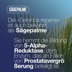 LA.GA Prostaman© Nahrungsergänzungsmittel für die Prostata mit Saw Palmetto / Serenoa Repens><noscript><img width=