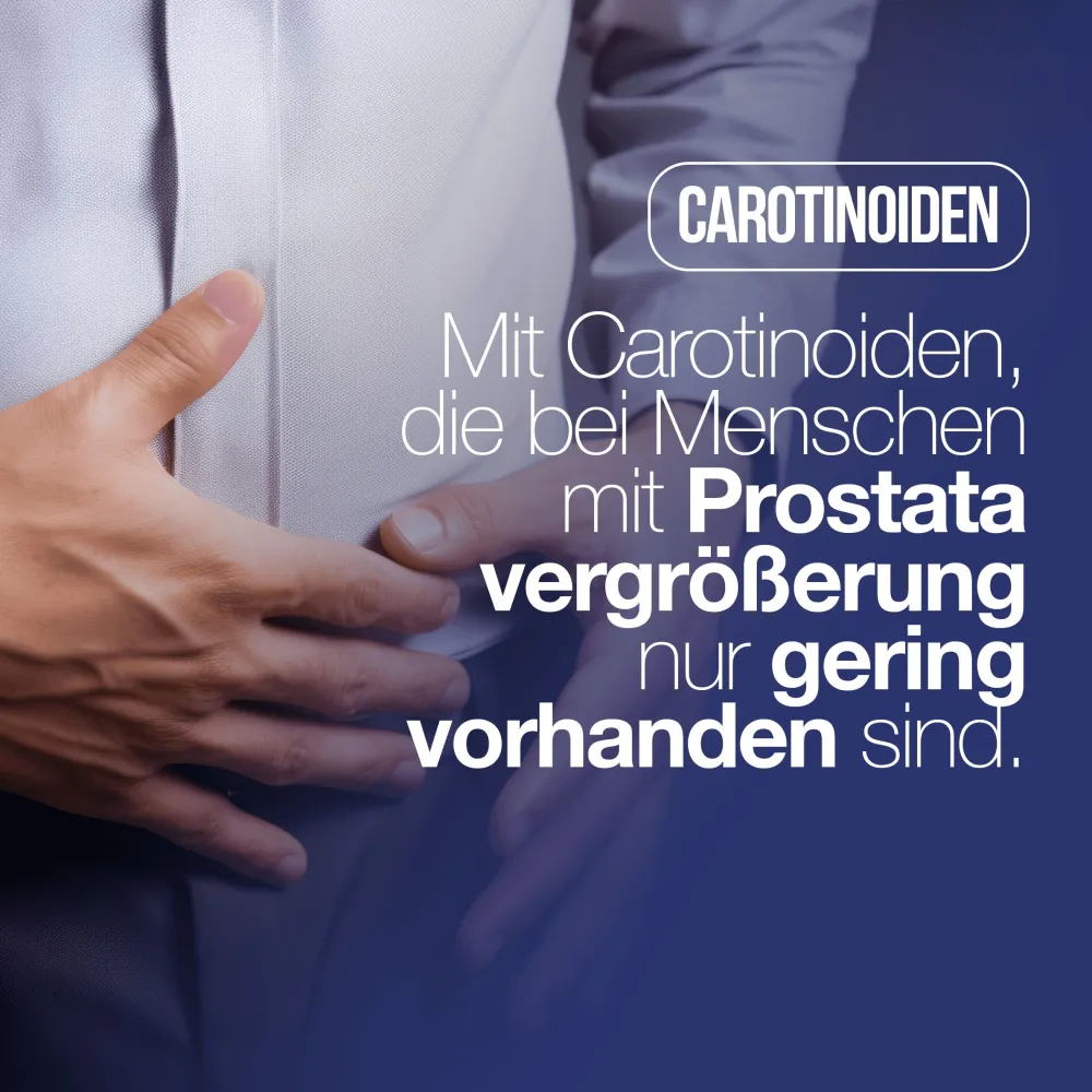 LA.GA Prostaman© Nahrungsergänzungsmittel für die Prostata mit Saw Palmetto / Serenoa Repens> New