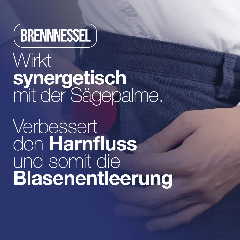 LA.GA Prostaman© Nahrungsergänzungsmittel für die Prostata mit Saw Palmetto / Serenoa Repens> New