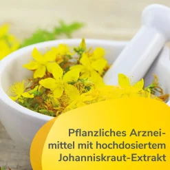 900 Balance – die pflanzliche Hilfe bei Antriebslosigkeit und seelisch bedingten Schlafstörungen|Laif Hot