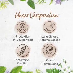 Leber Aktiv 5-in-1 Kapseln von Bärbel Drexel| Clearance