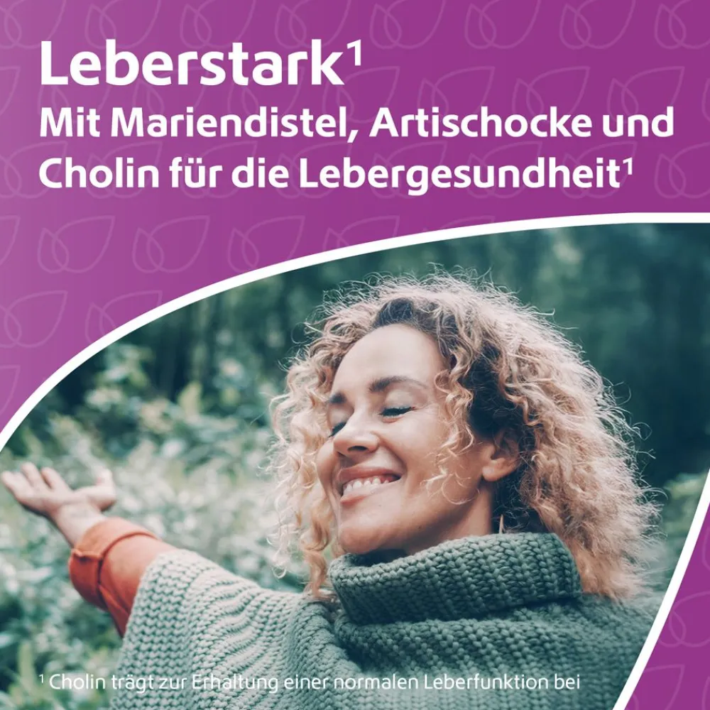 Leber Komplex Mariendistel + Artischocke + Cholin vegan R(h)ein Nutrition|