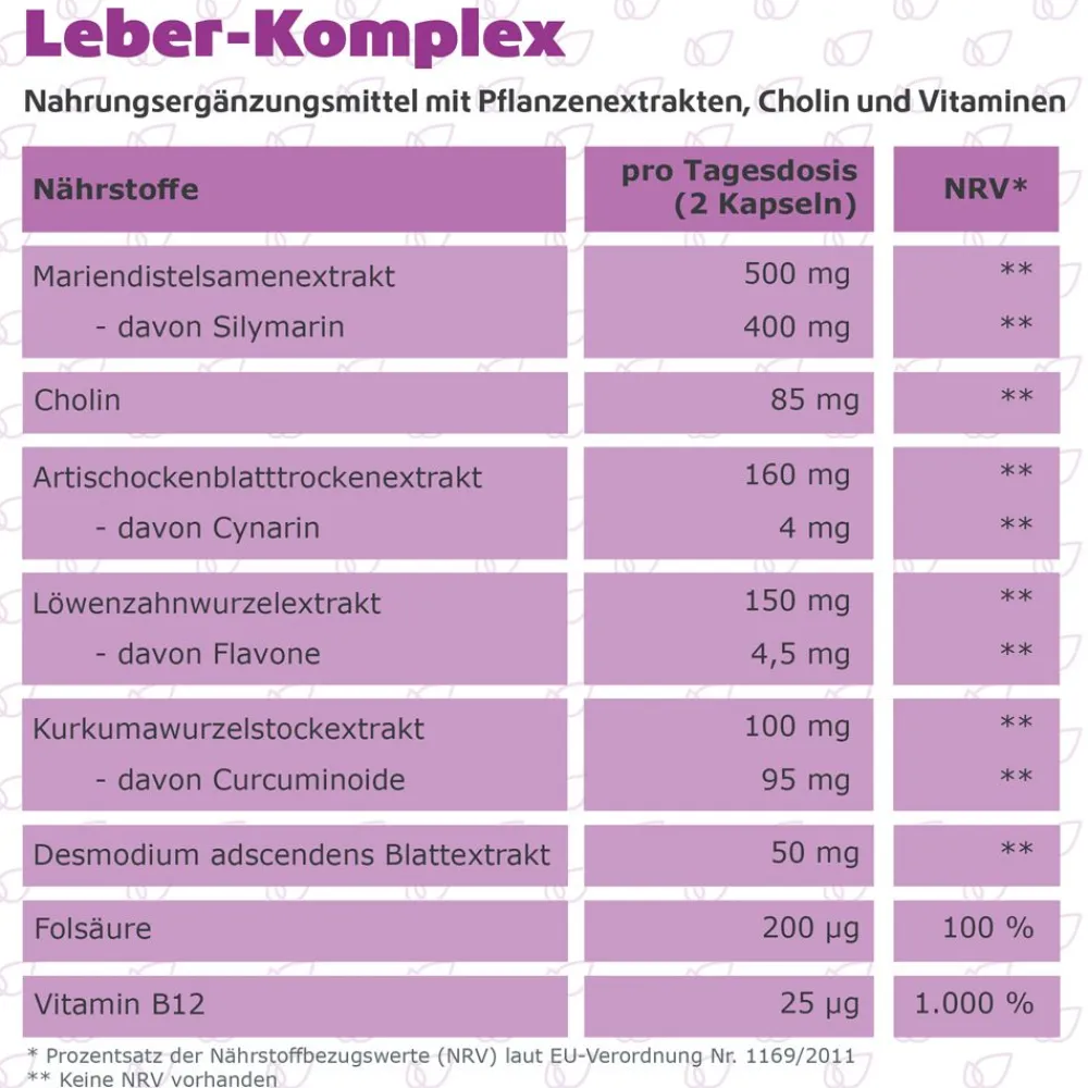 Leber Komplex Mariendistel + Artischocke + Cholin vegan R(h)ein Nutrition|