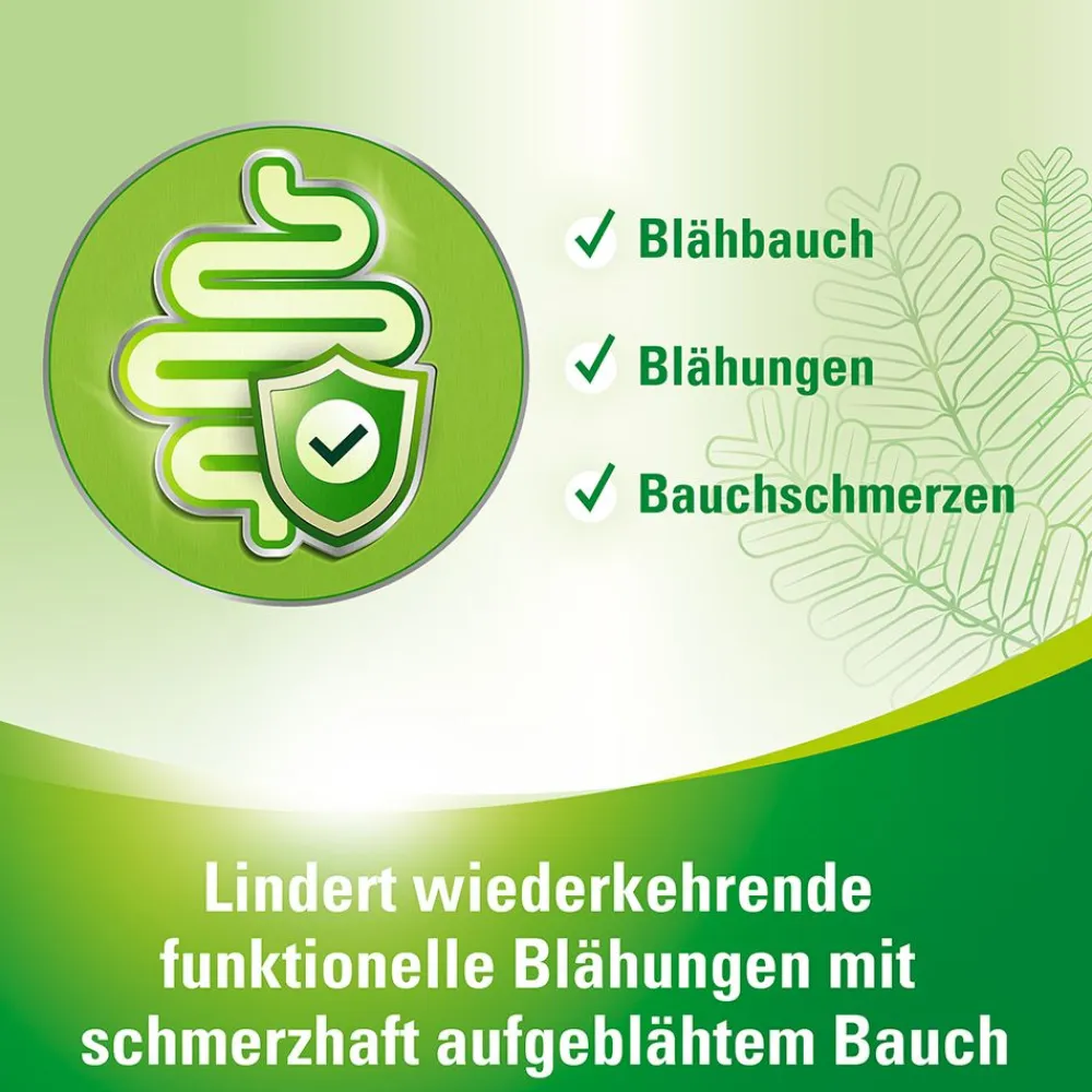 an® protect bei wiederkehrenden, funktionellen Blähungen und Blähbauch>Lefax New