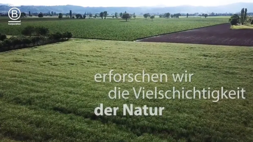 Leviaclis Erwachsene Mikroklistiere bei Verstopfung| Sale