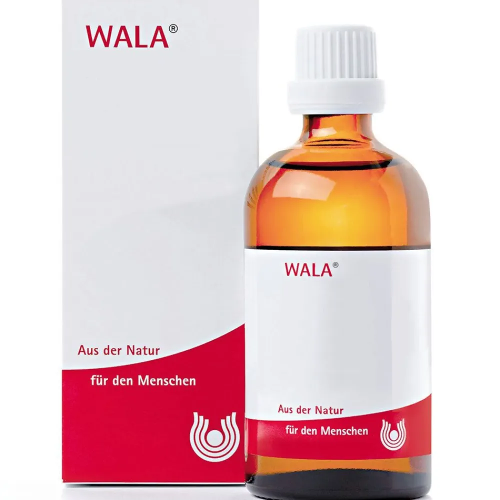 LEVISTICUM E radice W 5% Öl|Wala Discount