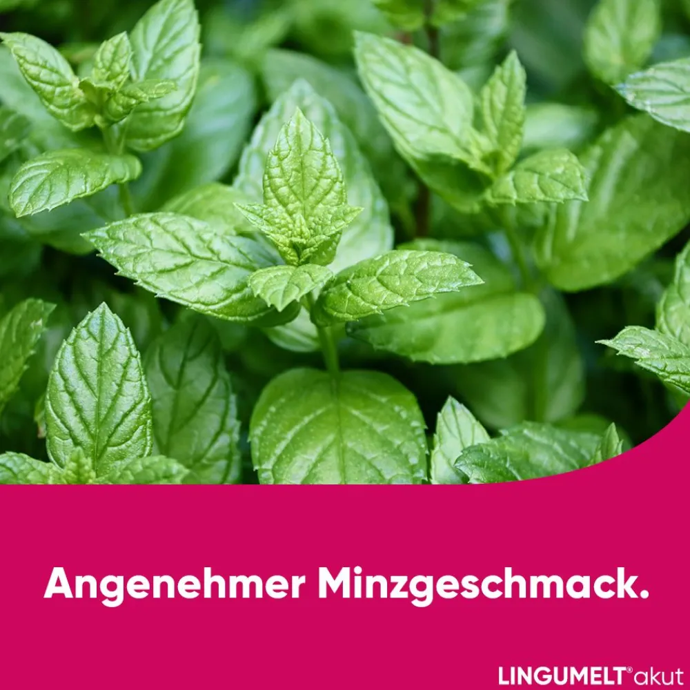 Lingumelt® akut 2 mg Lyophilisat| Clearance