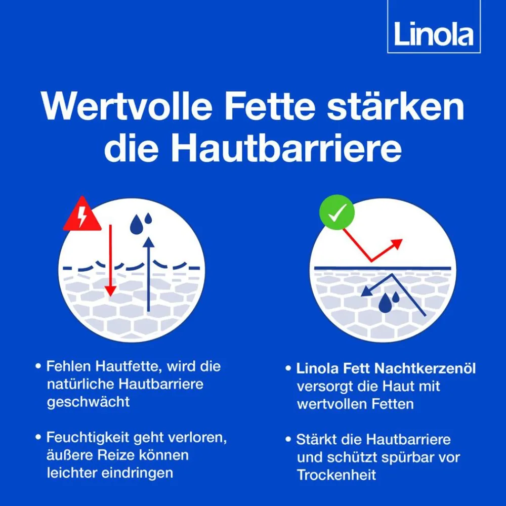Linola Fett Nachtkerzenöl – pflanzliches Arzneimittel für trockene, raue Haut und bei Neurodermitis> Discount
