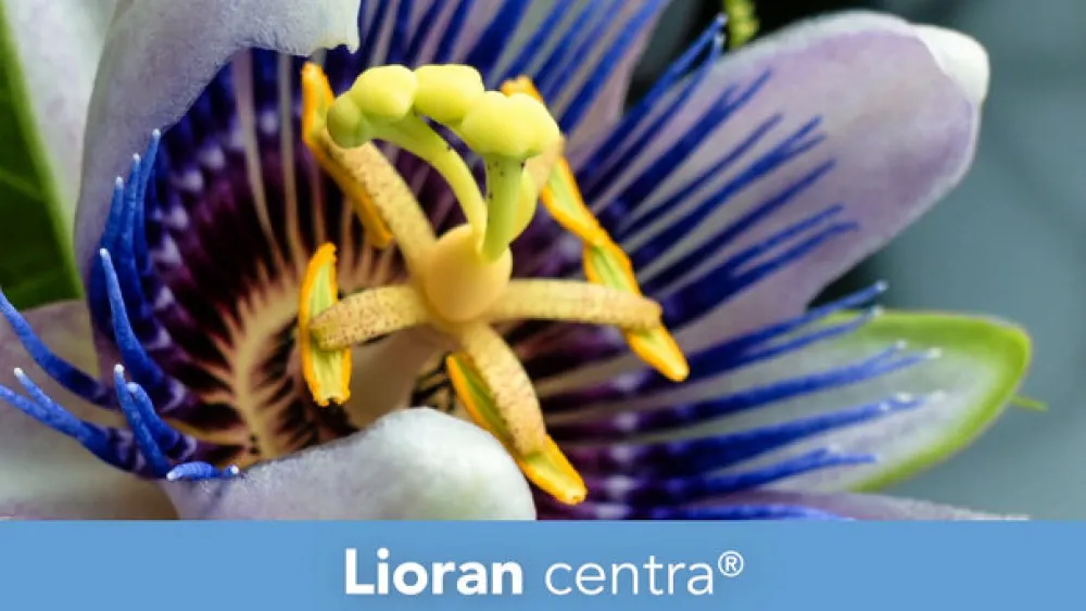 ® centra>Lioran Clearance
