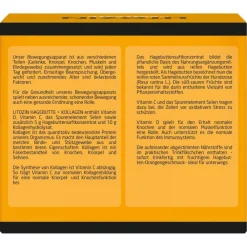 ® Hagebutte + Kollagen Trinkfläschchen|Litozin Clearance