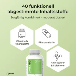 LIVIADA® DAILY40 – Täglicher Multi-Komplex mit essenziellen Vitaminen & Mineralstoffen| New