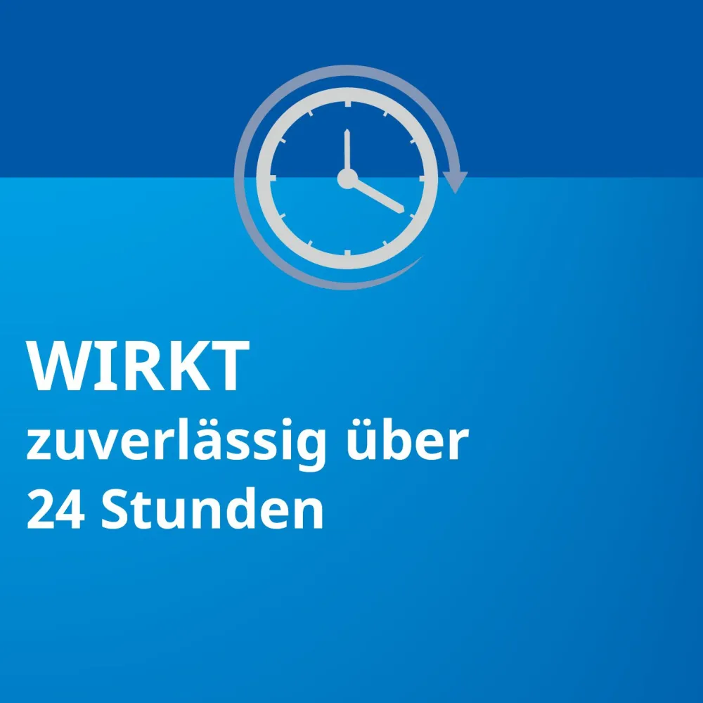 Loratadin STADA® 10 mg, bei allergischen Erkrankungen> Sale