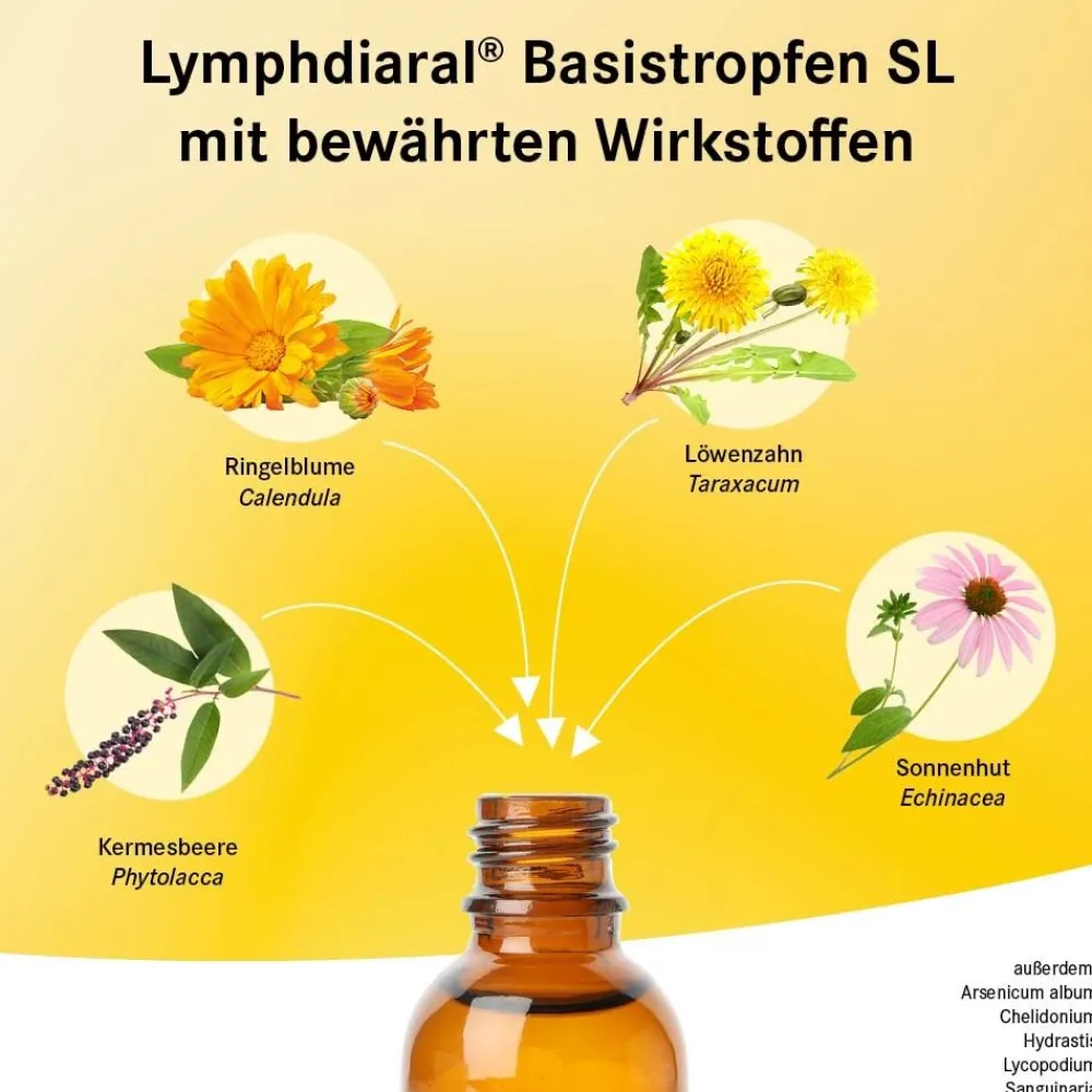 ® Basistropfen SL>Lymphdiaral Outlet