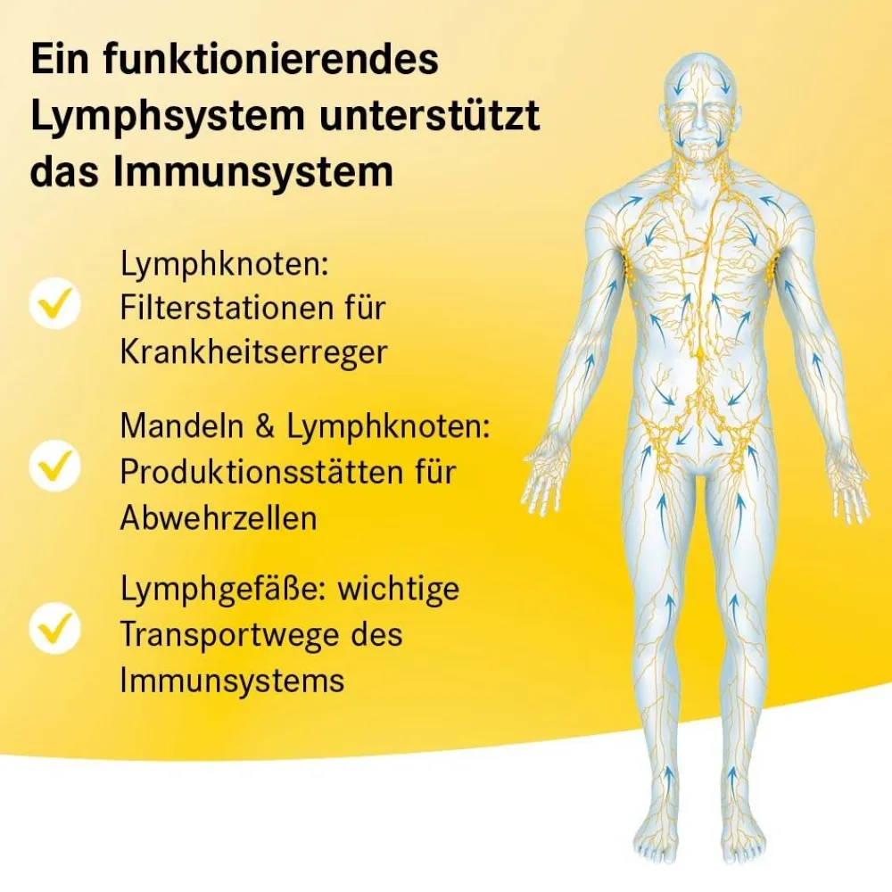 ® Basistropfen SL>Lymphdiaral Outlet