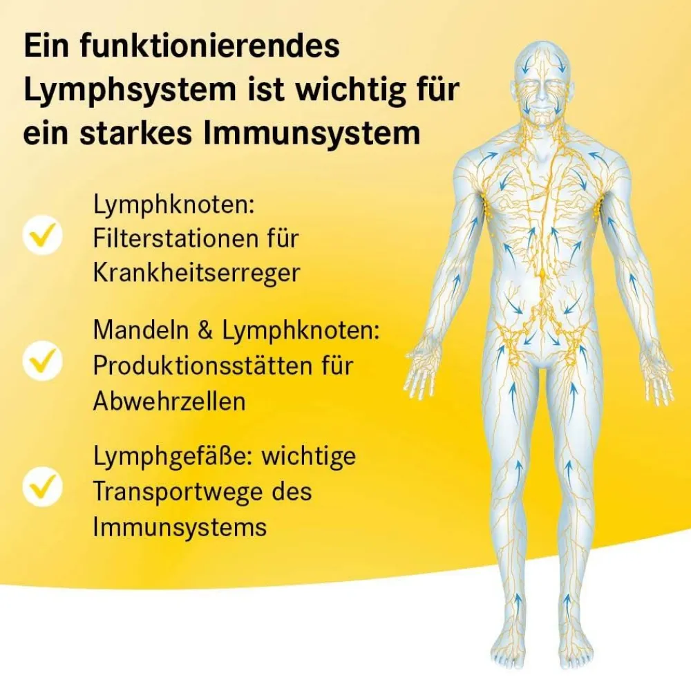 ® Halstabletten|Lymphdiaral New