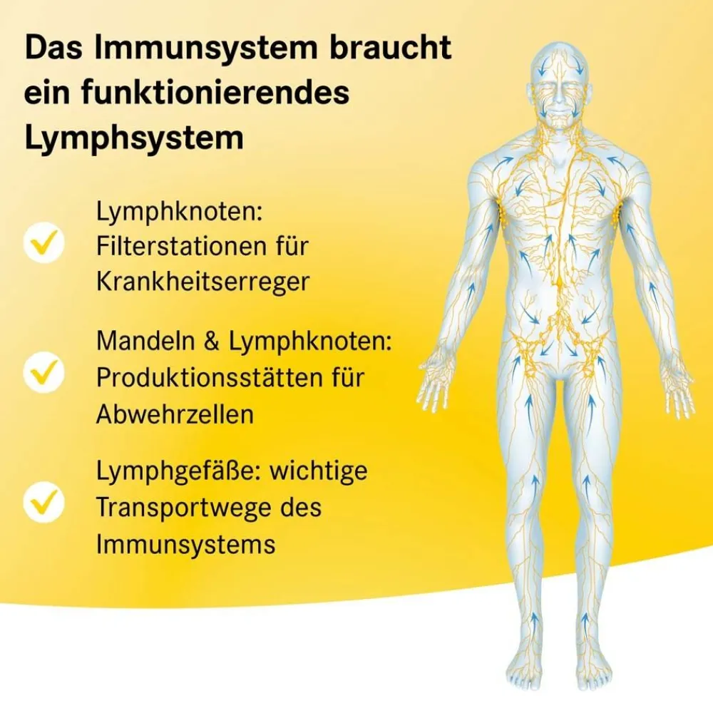 ® sensitiv Salbe N>Lymphdiaral Best