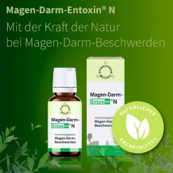 Magen-Darm-Entoxin® N Tropfen|Spenglersan Best