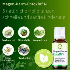 Magen-Darm-Entoxin® N Tropfen|Spenglersan Best