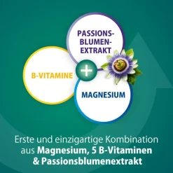 ® RelaxPlus für Muskeln, Nerven & Ausgeglichenheit|Magnetrans