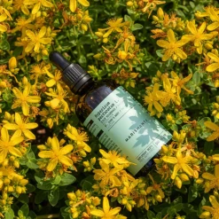 Marishanti Johanniskraut Extrakt – alkoholfrei><noscript><img width=