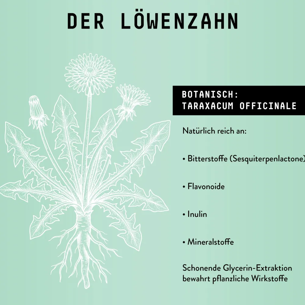 Marishanti Löwenzahnwurzel Extrakt – alkoholfrei> Online