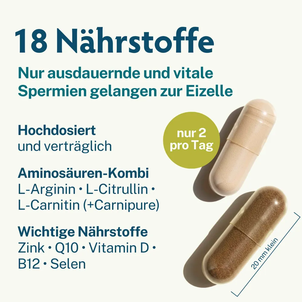 Fertilität | Fruchtbarkeit & Spermien | Folsäure, Q10 & Lycopin | Kinderwunsch Mann>MASCUPRO Sale