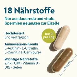 Fertilität | Kinderwunsch Vitamine für Männer | Folsäure & Aminosäuren|MASCUPRO Clearance