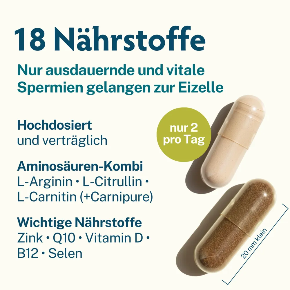 Fertilität | Kinderwunsch Vitamine für Männer | Folsäure & Aminosäuren|MASCUPRO Clearance