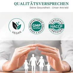 meinVitalium - Magnesium 4-fach Komplex + B6 Kapseln (ohne Oxid)| Best
