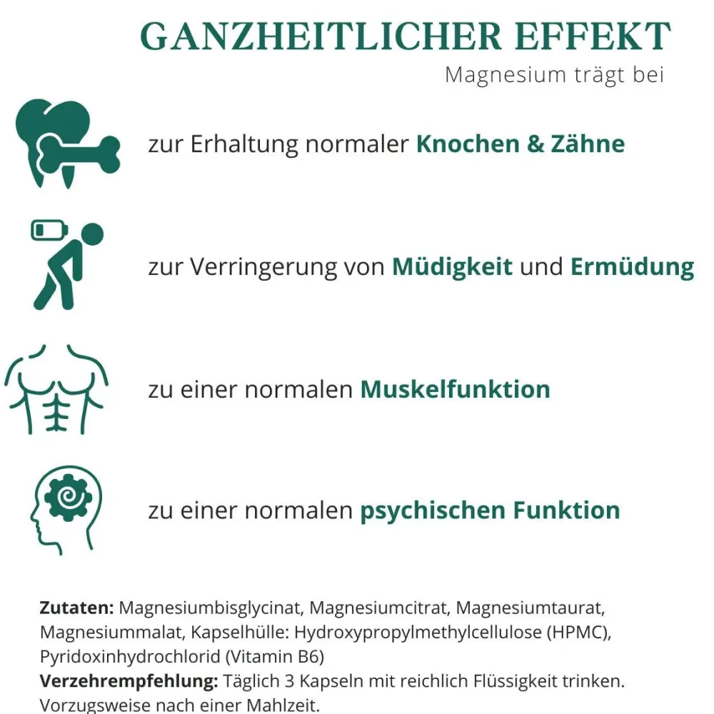 meinVitalium - Magnesium 4-fach Komplex + B6 Kapseln (ohne Oxid)| Best