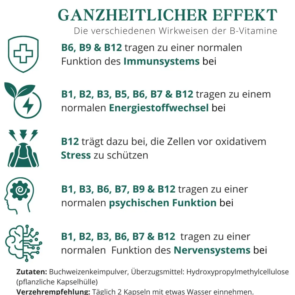 meinVitalium - reine Vitamin-B Komplex Kapseln| Outlet