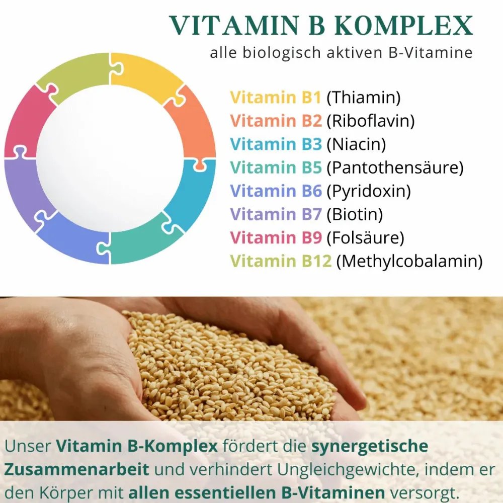 meinVitalium - reine Vitamin-B Komplex Kapseln| Outlet