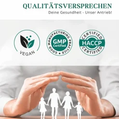 meinVitalium - reine Vitamin-B Komplex Kapseln| Outlet
